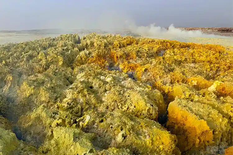 Danakil Depression 4-Day Expedition Ethiopia’s Otherworldly Frontier