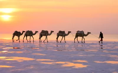 4-Day Danakil Explorer: Camel Caravans, Dallol, Gaet’ale Pond & Erta Ale